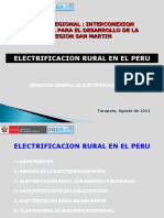 Foro Electricidad San Martin 2011_N_Garcia