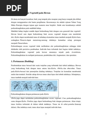 Perkembangbiakan Vegetatif Pada Hewandocx