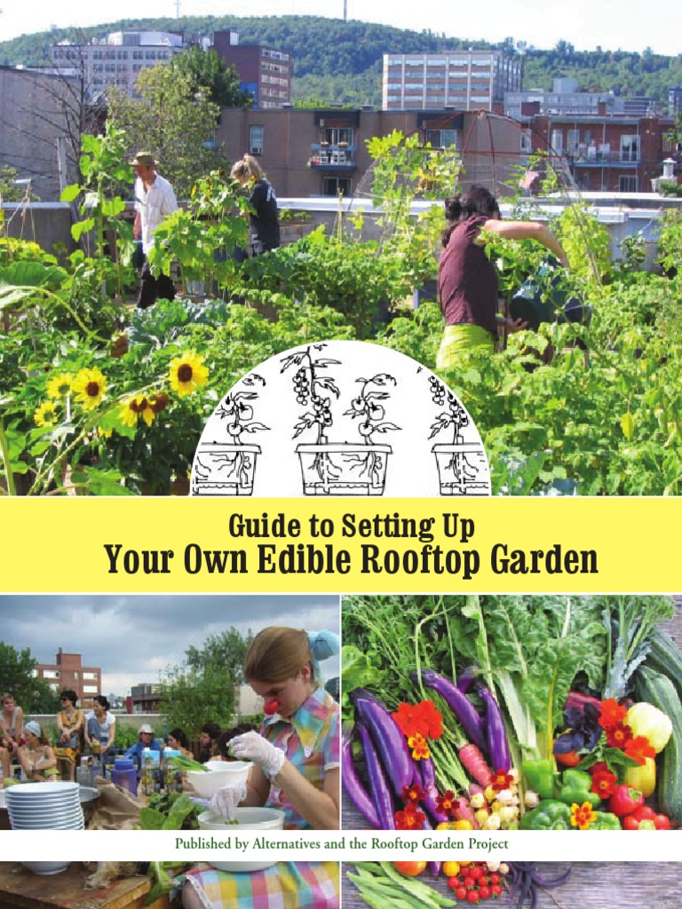 Your Own Edible Rooftop Garden: Guide To Setting Up | PDF | Urban ...