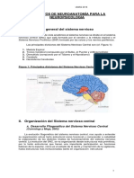 Elementos de Neuroanatomía Para La Neuropsicología (1)