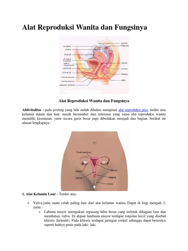 Ona va ogil porno HD 720p