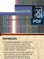 Acidos Nucleicos