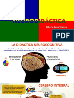 Neuro Didactic A