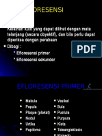 EFLORESENSI PRIMER DAN SEKUNDER