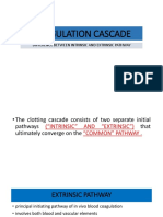 Coagulation Cascade: Difference Between Intrinsic and Extrinsic Pathway