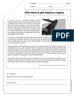 Leng Comprensionlectota 3y4b N10 PDF