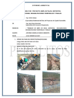 Informe Ambiental 001 - CChaquicocha