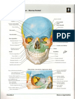 Atlas Anatomia