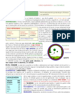 Hidatidosis PDF