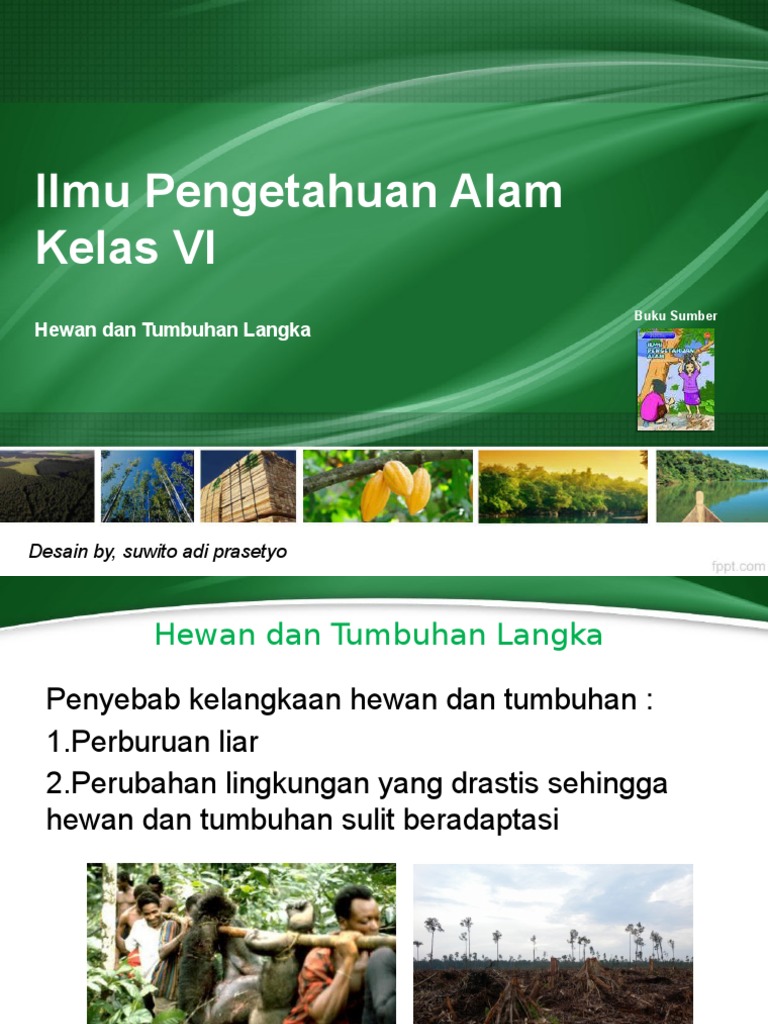 75 Koleksi Gambar Hewan Dan Tumbuhan Di Indonesia HD Terbaru