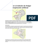 Cómo Hacer El Método de Holger Nielsen