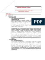 Fichas_Resumen_Politicas_Sector_Puno (1).docx