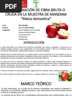 Determinación de Fibra Bruta Manzana