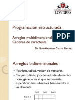 108_PE_C6-Arreglos_.pdf