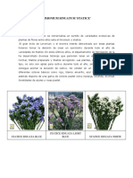 LIMONIUM SINUATUM (Autoguardado)