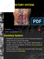 Excretory System