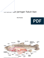 DTPI 1 Struktur Jaringan (1)