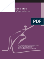 Tunel Carpiano Fs PDF