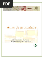 Atlas de Urinálise