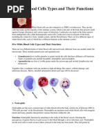 5 White Blood Cells Types and Their Functions