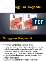 OTF Sistem Urogenital