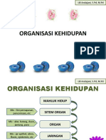 Organisasi - Kehidupan