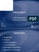Melioidosis - Pseudoglanders Whitmore Disease Overview