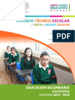 fase_intensiva_cte_2017-2018_secundaria.pdf