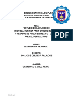 Estimulación y Recuperación Mejorada de Hidrocarburos Con Aplicación de Técnicas Meor Bacterias - Desbloqueado