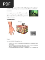 Download Dengue Fever Health Teaching by Dante Sales SN35551195 doc pdf