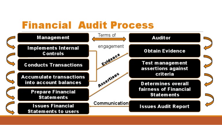 Financial Audit Process Overview | PDF