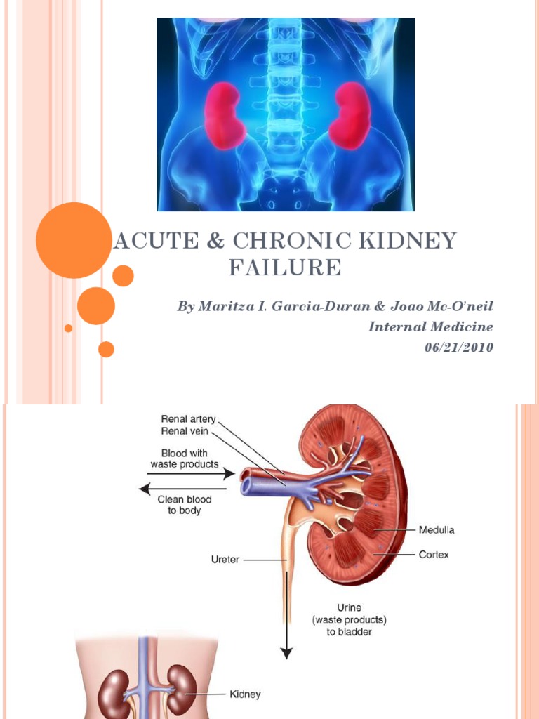 Acute Chronic Renal Failure Chronic Kidney Disease Renal Function