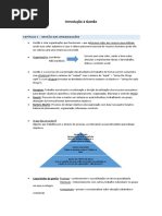 Introdução à Gestão