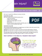 2 What Is Brain Injury
