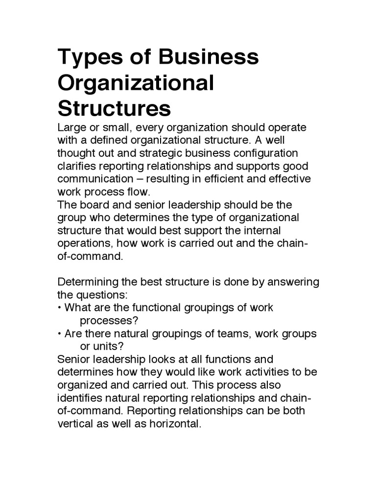 Business Structure Basics 20 | PDF