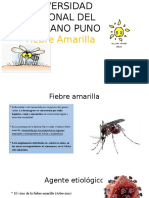 Fiebre Amarilla