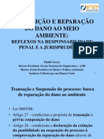 Composição e Reparação Do Dano Ao Meio Ambiente