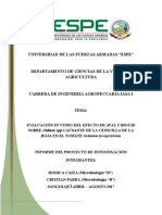 EVALUACIÓN IN VITRO DEL EFECTO DE AVAL Y BIOCID SOBRE Oidium SPP CAUSANTE DE LA CENICILLA DE LA HOJA EN EL TOMATE Solanum Lycopersicum