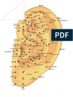 Mapa Auricular de Neves PDF