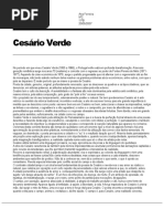 Relatório Profissional Portugues Cesario Verde