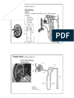 BC Renal