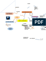 Mapa Mental Sujeto y Subjetividad