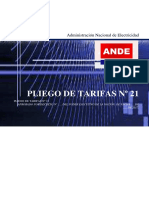 Pliego 21 Ande