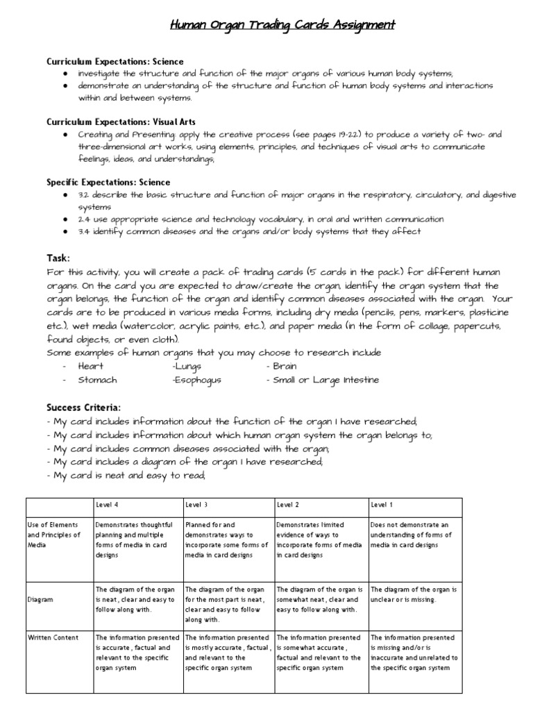 Human Organ Trading Cards | PDF | Organ (Anatomy) | Human Body