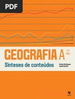 Sínteses de conteúdos 10.º ano.pdf
