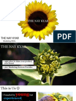 THE NAY KYAR PROFILE.pdf