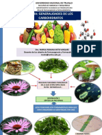 Generalidades de los carbohidratos: estructura, clasificación y funciones