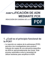 PCR Diapositivas