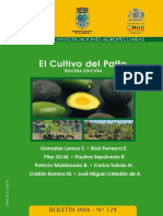 El Cultivo Del Palto PDF