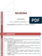 Neuroanatomía neuronas glías